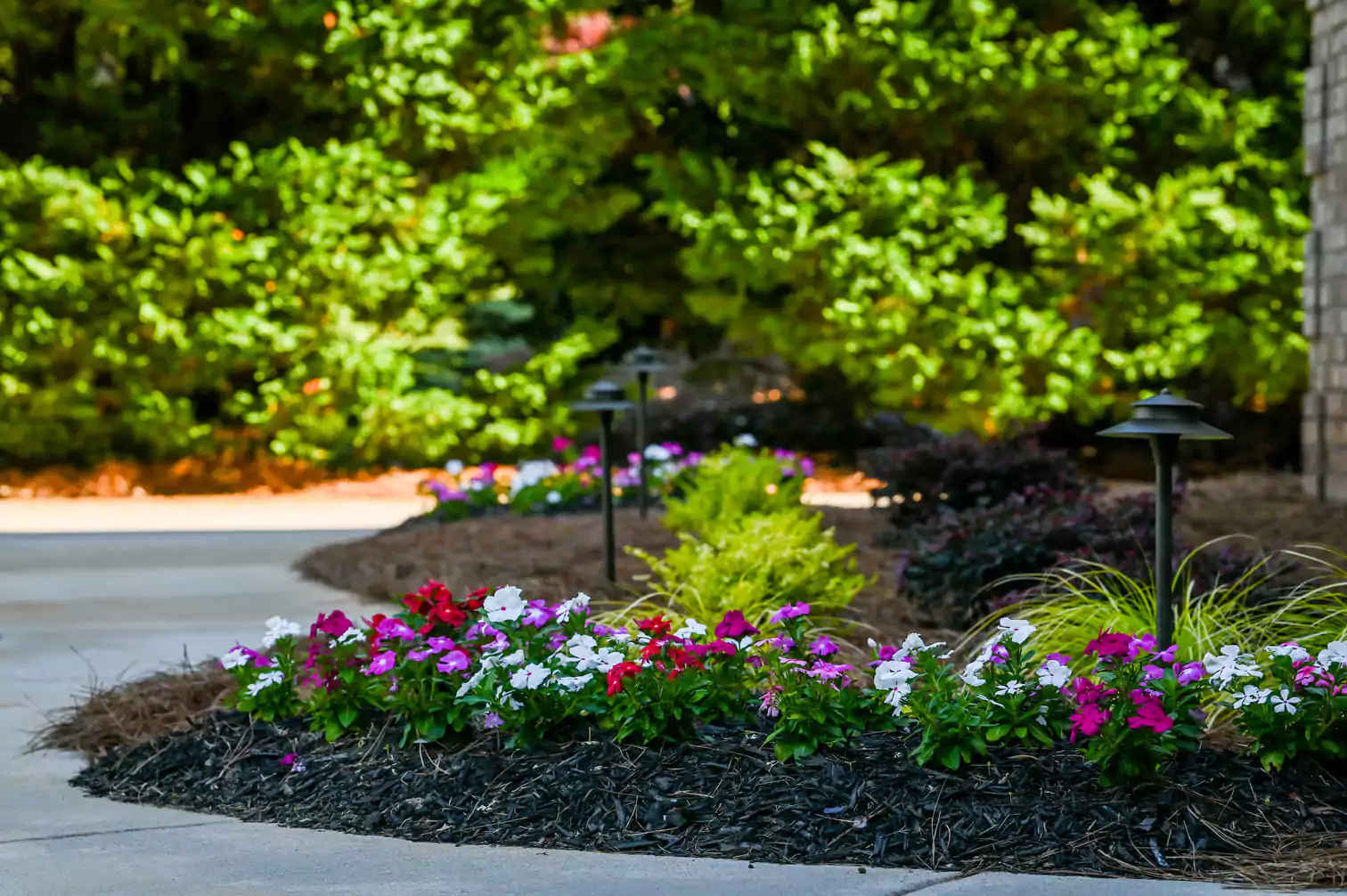 Colorful flower garden along a sidewalk