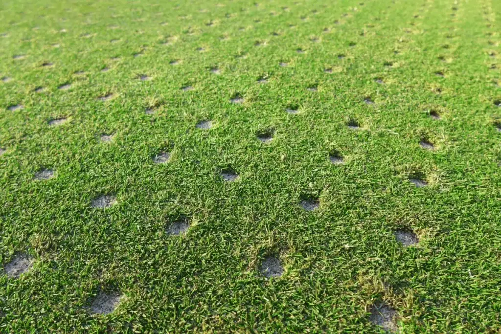 Aerated grass field with visible holes