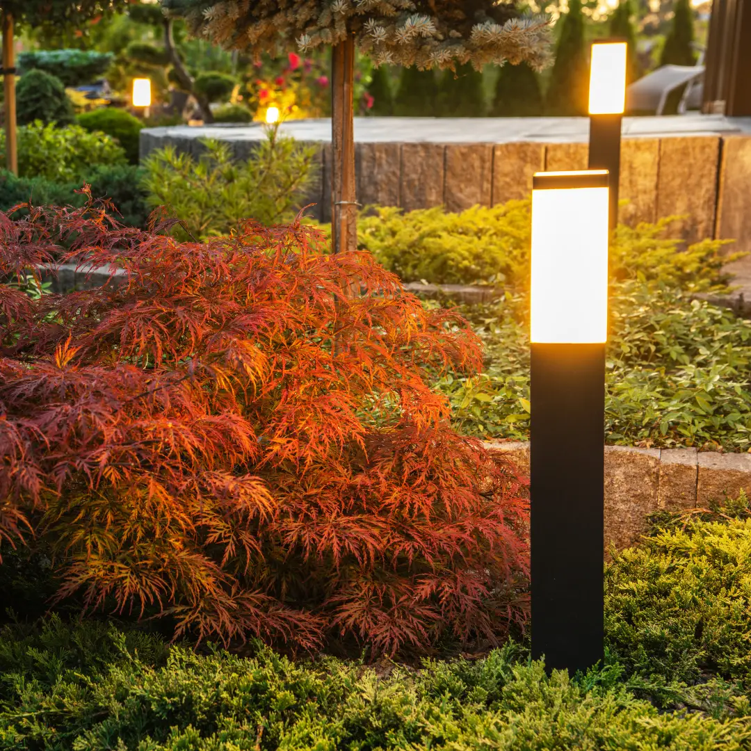 Garden with illuminated path lights and colorful bushes.