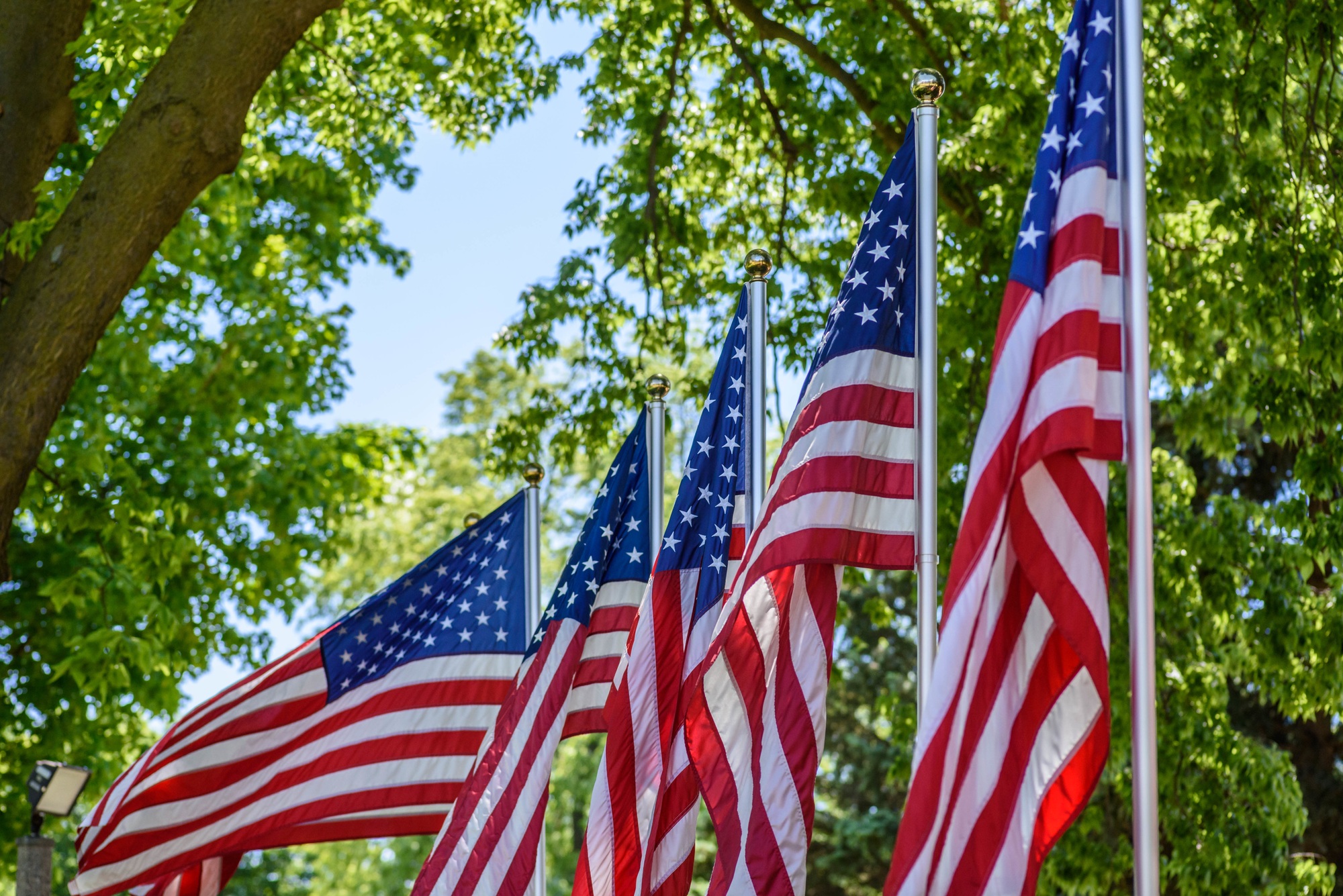 American flags wave proudly on flagpoles