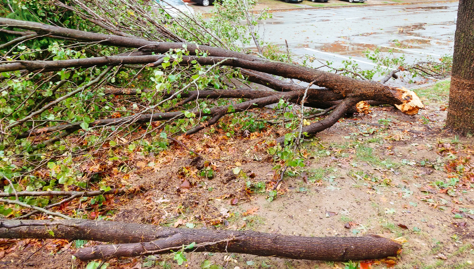 Debri blocking road during a typhoon Serious damage in the buildings at the Seagate