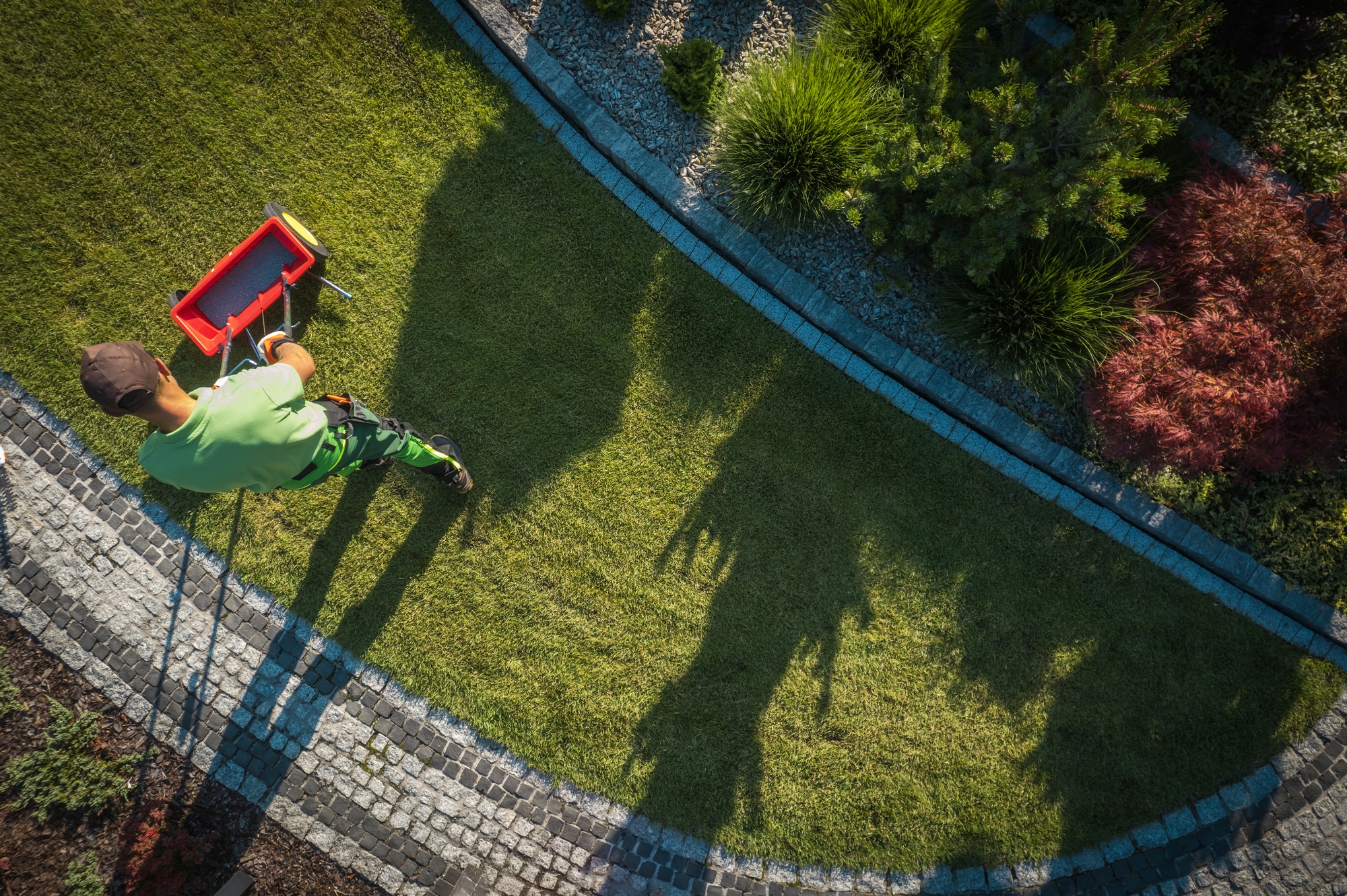 Gardener using a fertilizing distributor to feed the grass